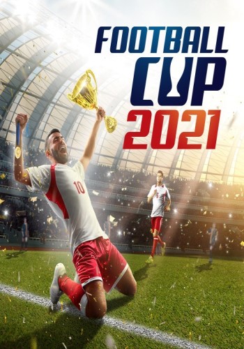 NS 足球世界杯 2021 美版